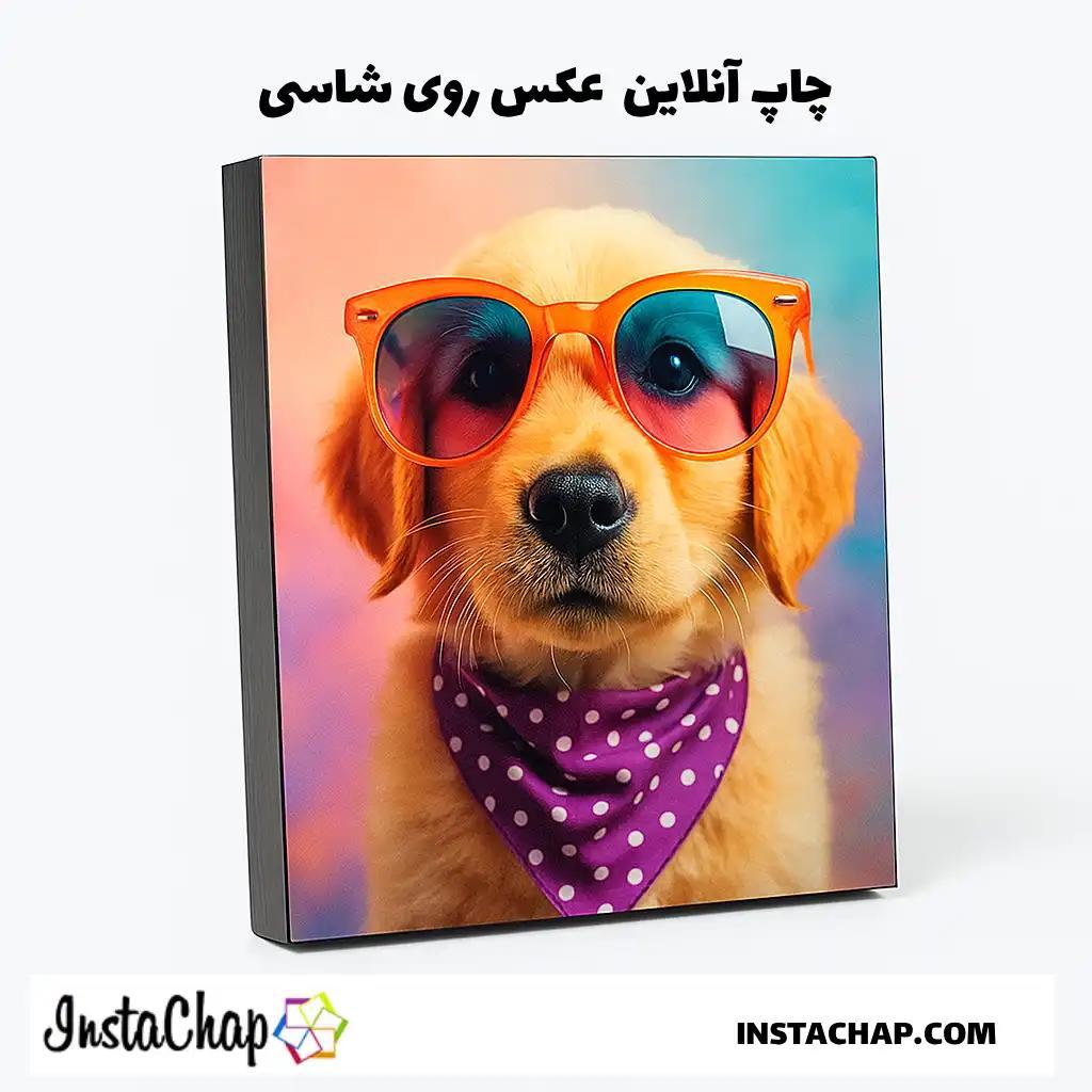 راهنمای چاپ عکس روی شاسی: خاطراتت رو شیک کن!