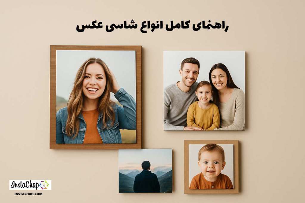 انواع شاسی عکس: راهنمای کامل برای انتخاب درست + ویژگیها