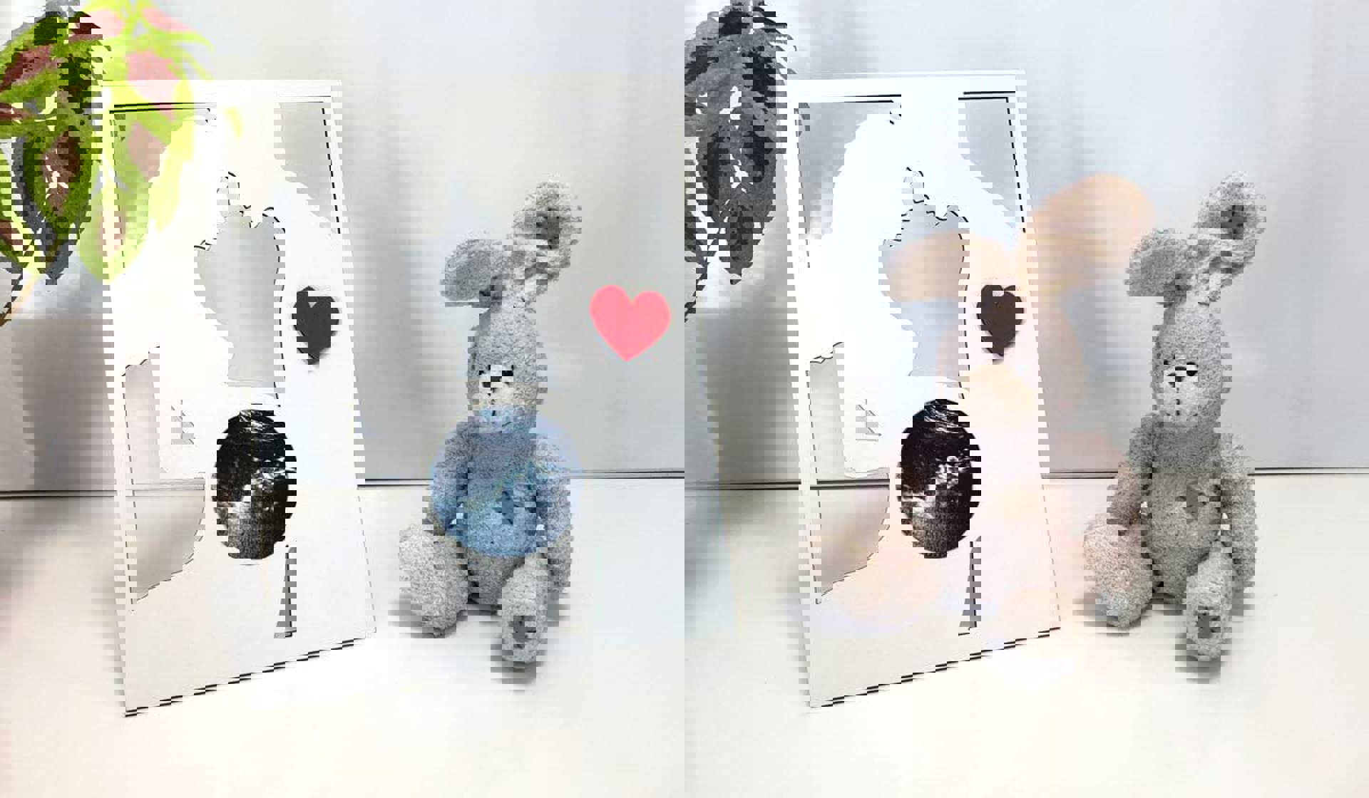 شاسی سونوگرافی